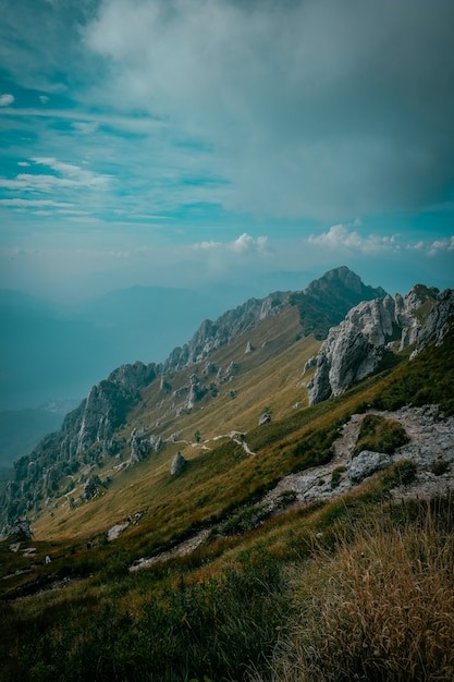 Goverment Lorem Ipsum Sit Amet Consectetur dipisi?